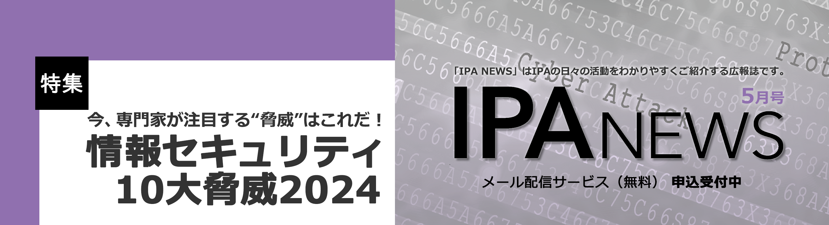 IPA NEWS 最新号